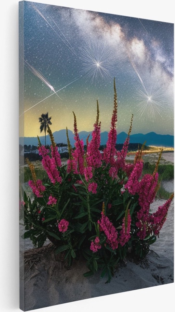Saammp Canvas Schilderij - Vallende Ster - Natuur - Landschap - 20x30 - Foto op canvas - Wanddecoratie - Muurdecoratie Woonkamer - Slaapkamer decoratie - Canvas Print Multicolor