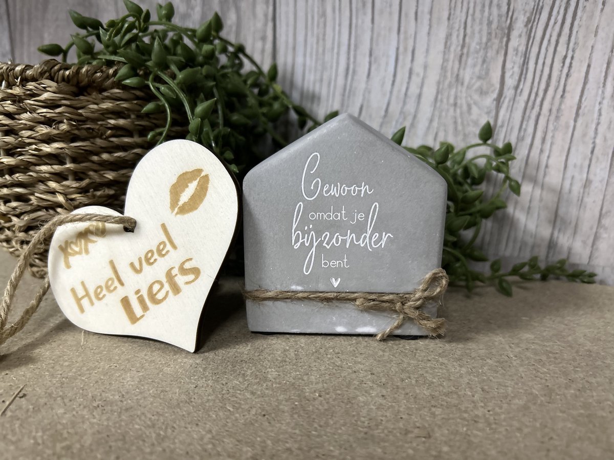 Creaties van Hier – Cement house Je bijzonder bent met houten hartje - 8 cm – Cement