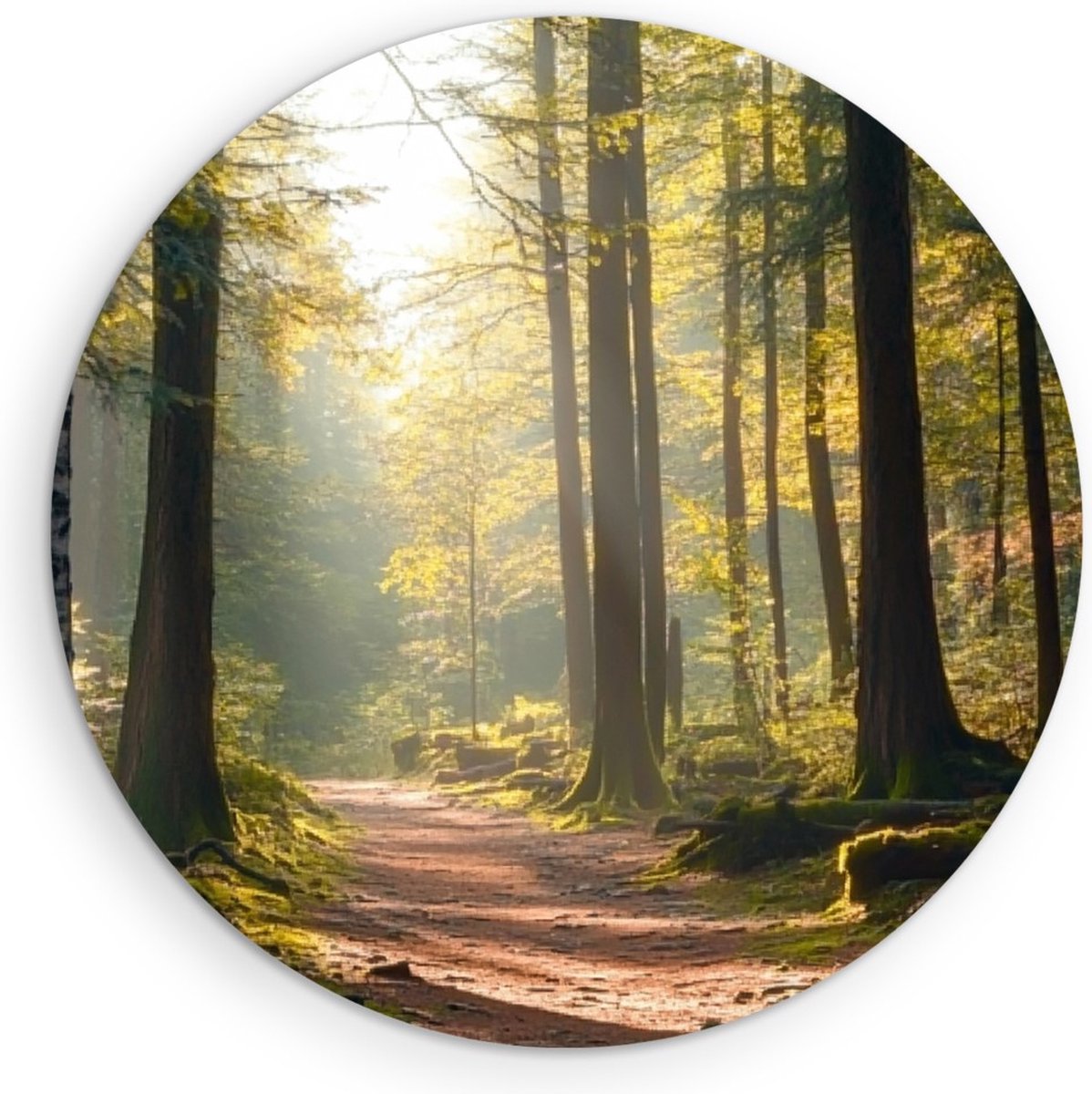 Saammp Muurcirkel Hout - Natuur - Pad - Bos - landschap - Ø 90 - Wandcirkel - Wanddecoratie Cirkel - Muurdecoratie Woonkamer - Slaapkamer decoratie - Rond Schilderij