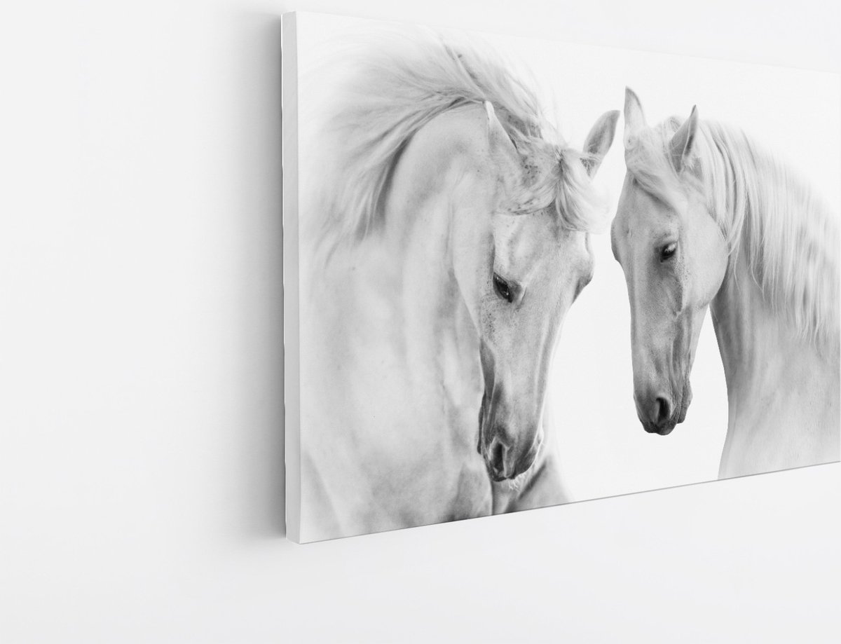 Saammp Canvas Schilderij - 2 Paarden - Liefdevol - Natuur - Dieren - 40x30 - Foto op canvas - Wanddecoratie - Muurdecoratie Woonkamer - Slaapkamer decoratie - Canvas Print Multicolor