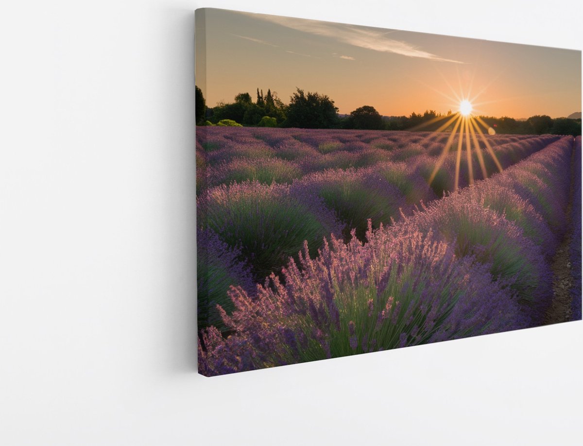 Saammp Canvas Schilderij - Lavendelveld tijdens zonsopgang - Natuur - Landschap - 50x40 - Foto op canvas - Wanddecoratie - Muurdecoratie Woonkamer - Slaapkamer decoratie - Canvas Print Multicolor