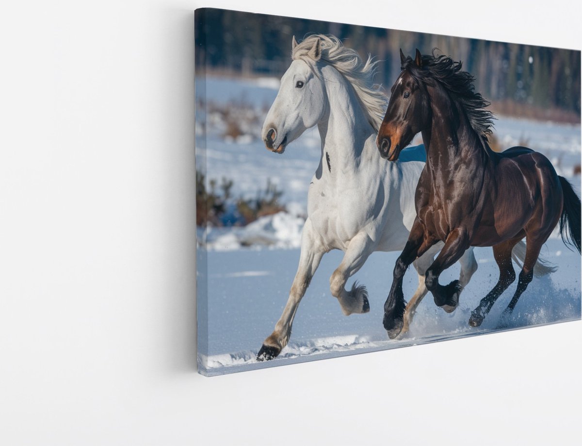 Saammp Canvas Schilderij - Paard - Dieren - Natuur - 50x40 - Foto op canvas - Wanddecoratie - muurdecoratie Woonkamer - Slaapkamer decoratie - Canvas Print Multicolor