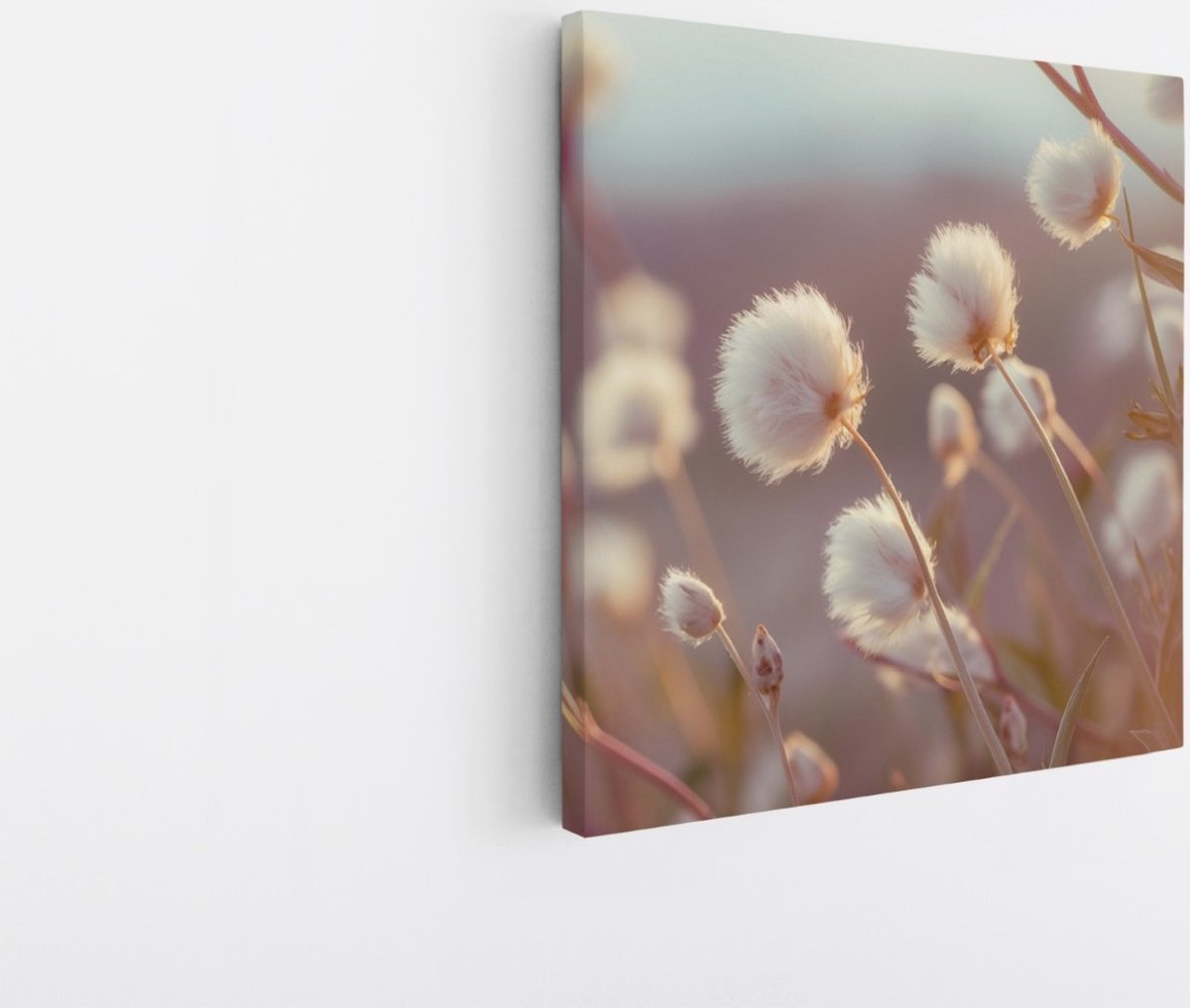 Saammp Canvas Schilderij - Fluffy - Bloemen - Natuur - 30x30 - Foto op canvas - Wanddecoratie - Muurdecoratie Woonkamer - Kantoor Decoratie Multicolor