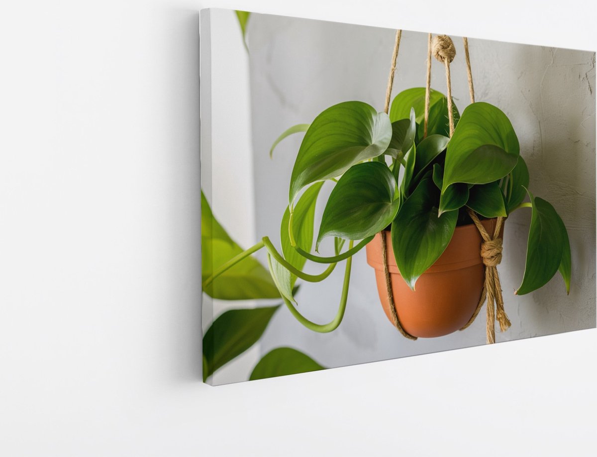 Saammp Canvas Schilderij - Planten aan touw - Bloemen - Abstract - 90x60 - Foto op canvas - Wanddecoratie - Muurdecoratie Woonkamer - Kantoor Decoratie Multicolor