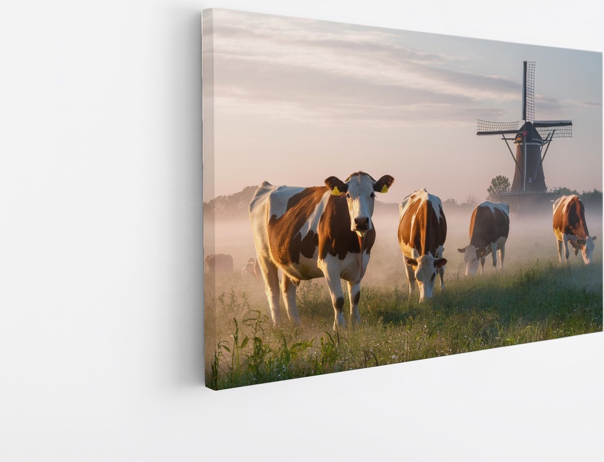 Saammp Canvas Schilderij - Groep koeien in de mist - Natuur - Dieren - 60x40 - Foto op canvas - Wanddecoratie - Muurdecoratie Woonkamer - Slaapkamer decoratie - Canvas Print Multicolor