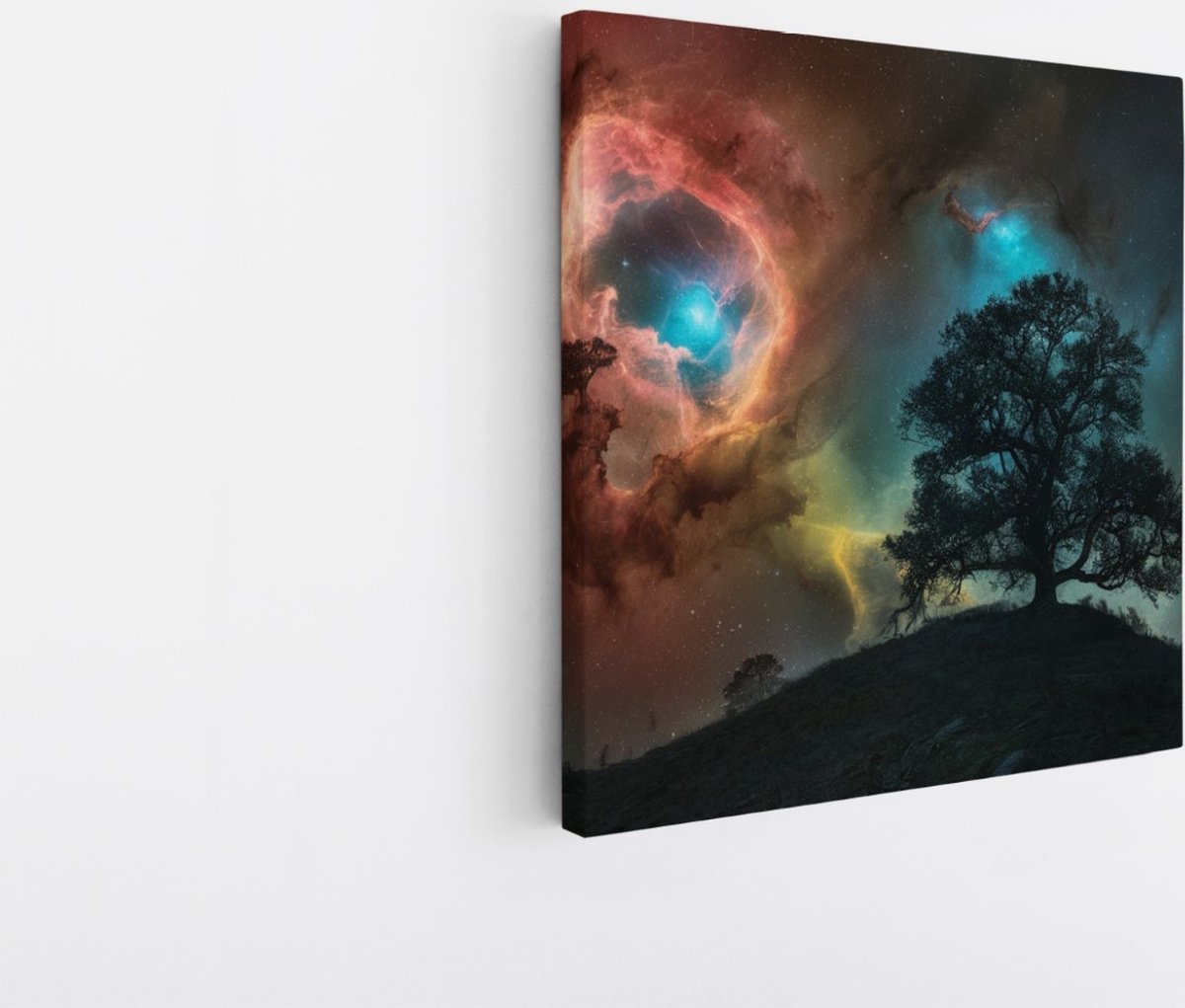 Saammp Canvas Schilderij - Ruimte - boom - Landschap - Natuur - 100x100 - Foto op canvas - Wanddecoratie - Muurdecoratie Woonkamer - Slaapkamer decoratie - Canvas Print Multicolor