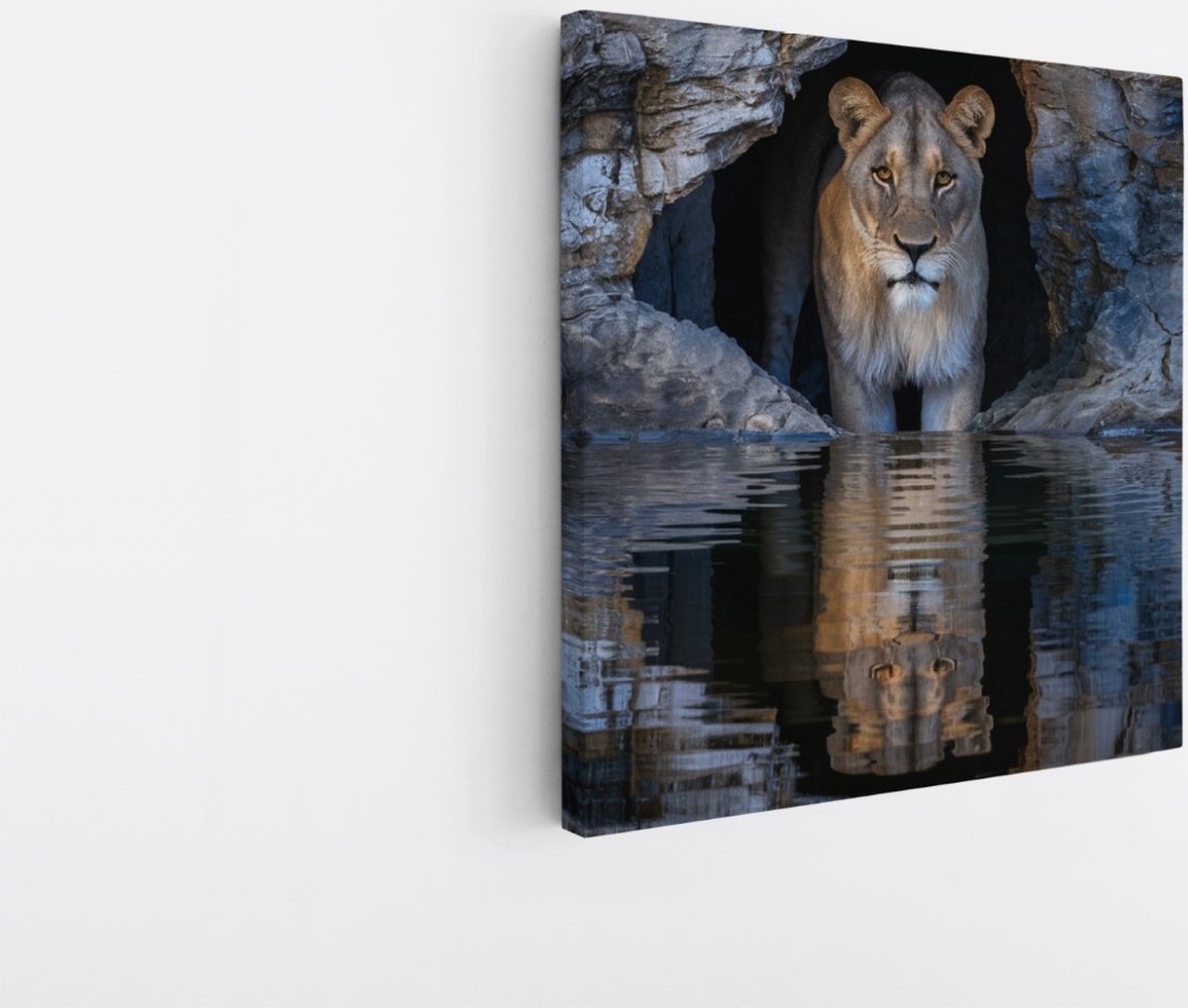 Saammp Canvas Schilderij - Leewin tussen de stenen - Natuur - Dieren - 100x100 - Foto op canvas - Wanddecoratie - Muurdecoratie Woonkamer - Slaapkamer decoratie - Canvas Print Multicolor