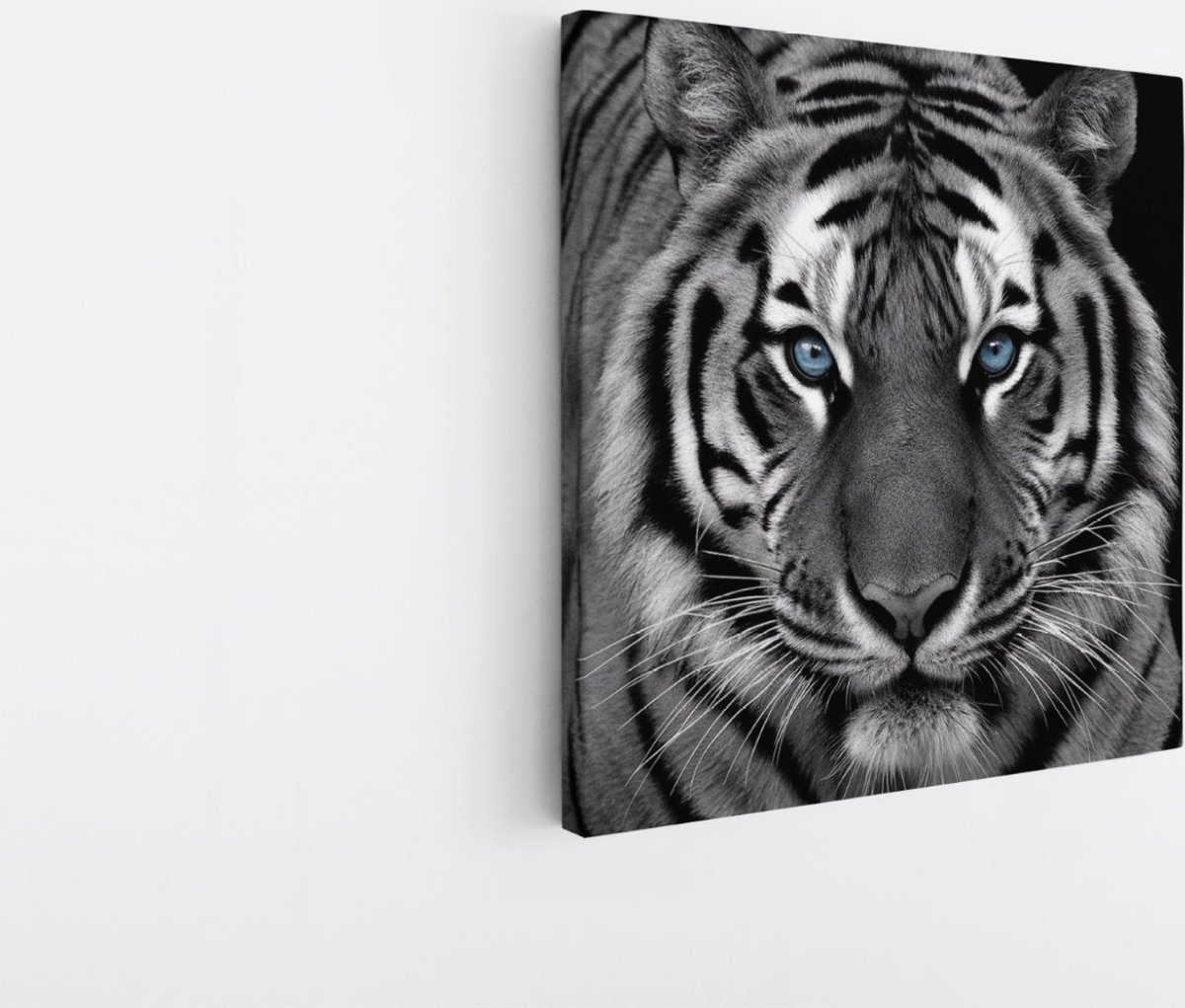 Saammp Canvas Schilderij - Tijger met blauwe ogen- Natuur - Dieren - Zwart-Wit - 30x30 - Foto op canvas - Wanddecoratie - muurdecoratie Woonkamer - Slaapkamer decoratie - Canvas Print Multicolor