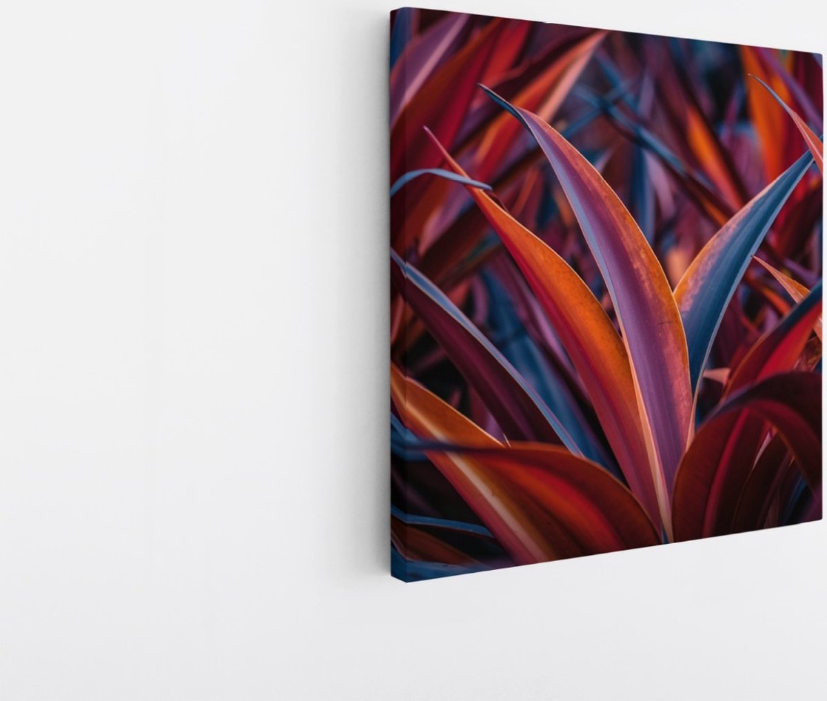 Saammp Canvas Schilderij - Abstracte Kleurrijke Bladeren - Modern - Abstract - 30x30 - Foto op canvas - Wanddecoratie - Muurdecoratie Woonkamer - Kantoor Decoratie Multicolor