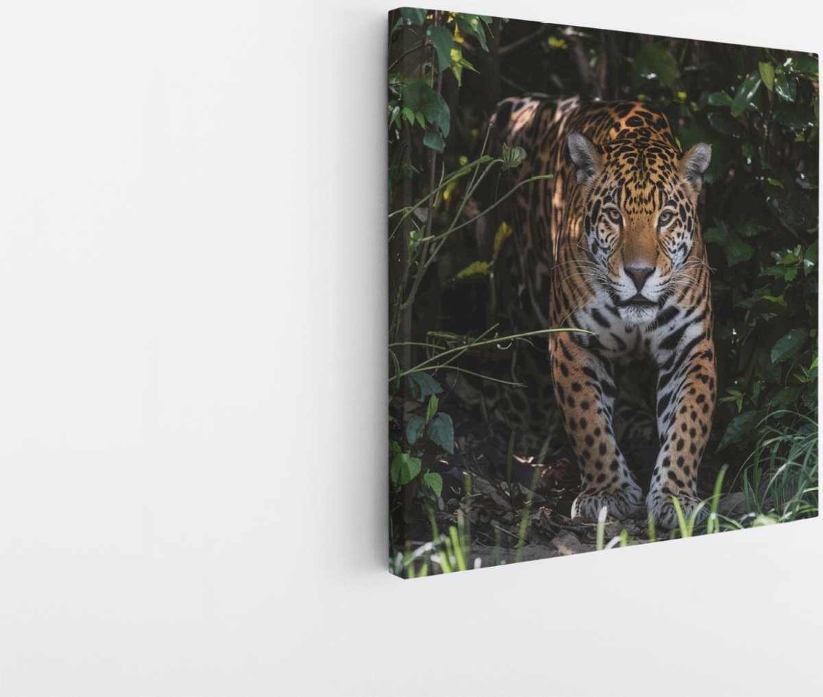 Saammp Canvas Schilderij - Luipaard tussen de struiken - Natuur - Dieren - 30x30 - Foto op canvas - Wanddecoratie - Muurdecoratie Woonkamer - Slaapkamer decoratie - Canvas Print Multicolor