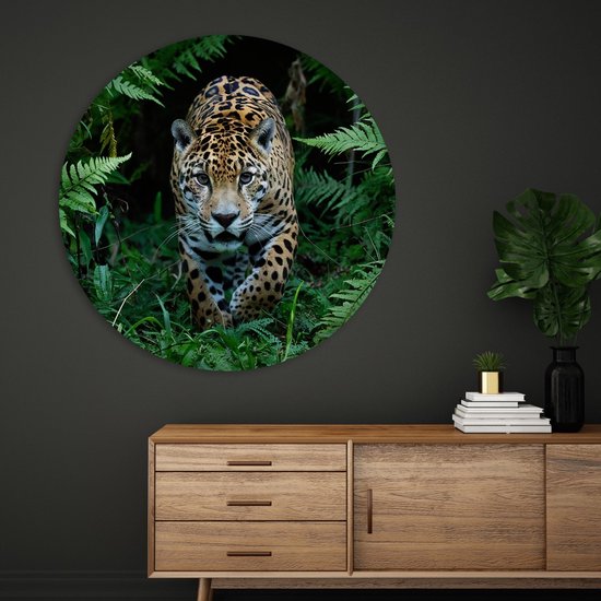 Saammp Cercle Mural Bois - Jaguar dans la nature - Animaux - Ø 30 - Cercle Mural - Décoration murale Cercle - Décoration murale Salon - Décoration Chambre - Tableau Rond