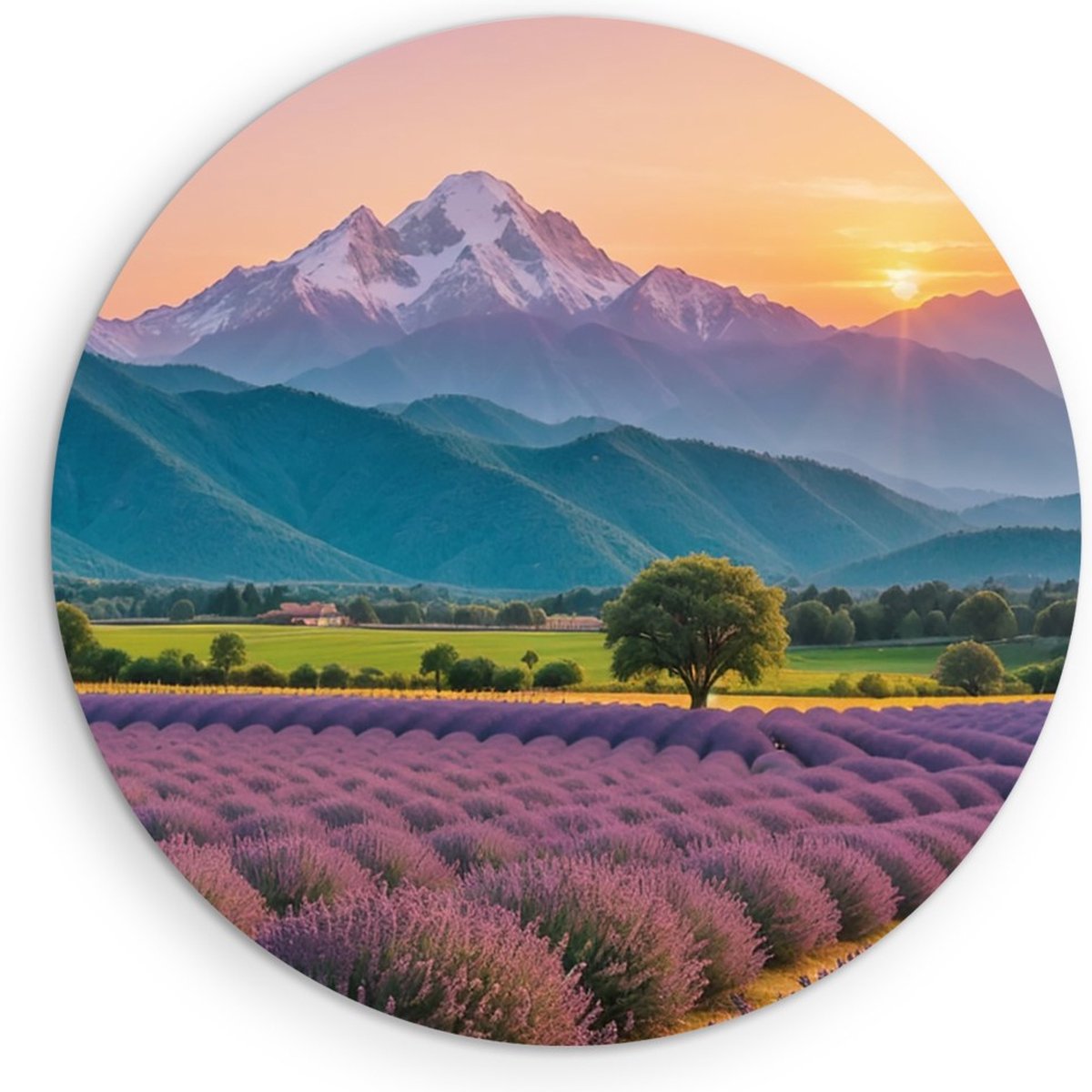 Saammp Forex Muurcirkel - Bloemen - Lavendel met bergachtig landschap - Natuur - Ø 50 - Wandcirkel - Wanddecoratie Cirkel - Muurdecoratie Woonkamer - Slaapkamer decoratie - Rond Schilderij