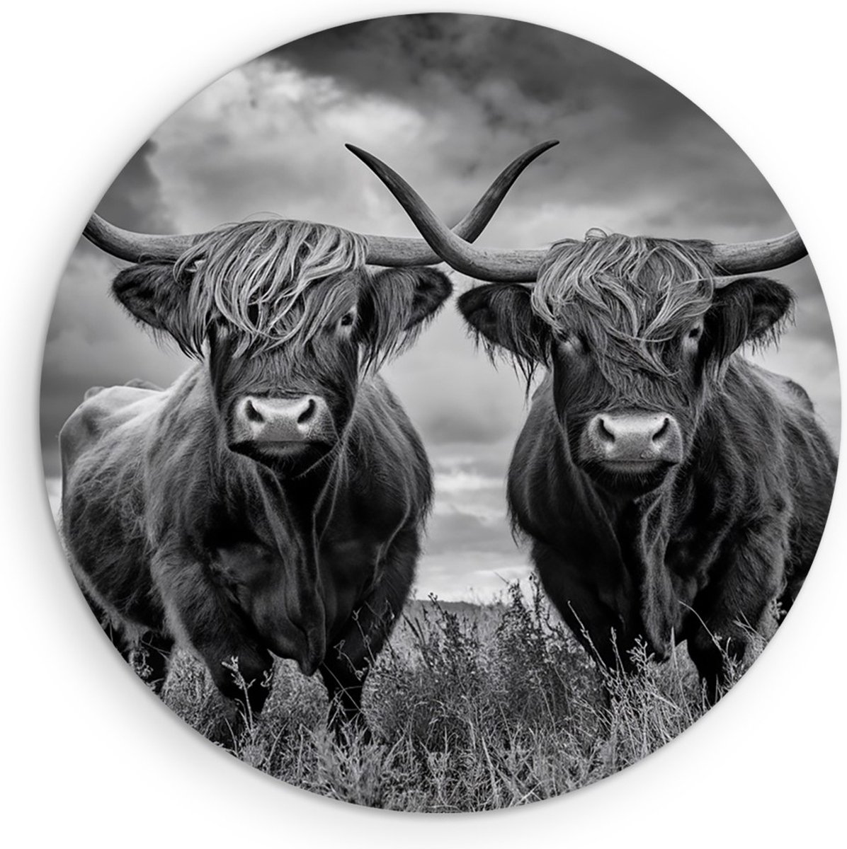 Saammp Muurcirkel Hout - 2 Schotse Hooglander Koeien in een storm - Natuur - Dieren - Ø 40 - Wandcirkel - Wanddecoratie Cirkel - Muurdecoratie Woonkamer - Slaapkamer decoratie - Rond Schilderij