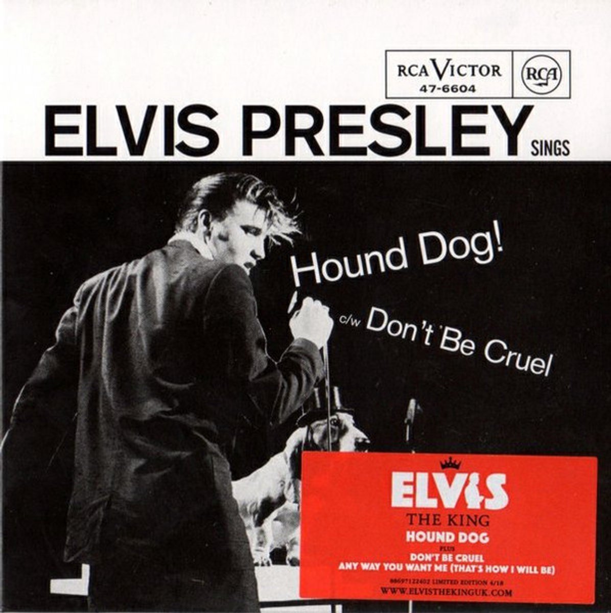 Hound Dog