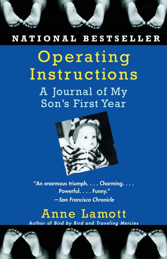 Boek 'Operating Instructions: A Journal of My Son's First Year' van Anne Lamott. National Bestseller.