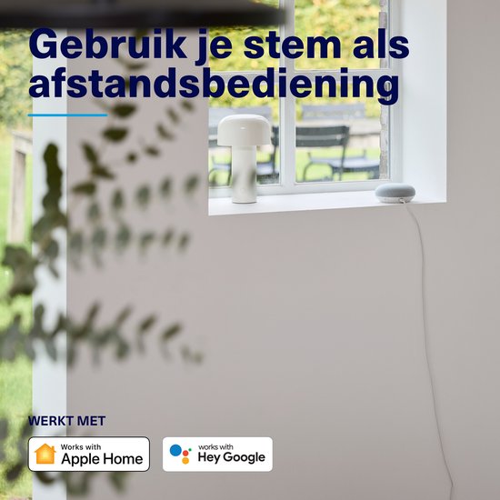 Een grijze speaker van Google Home en een witte speaker van Apple Home staan op een vensterbank.