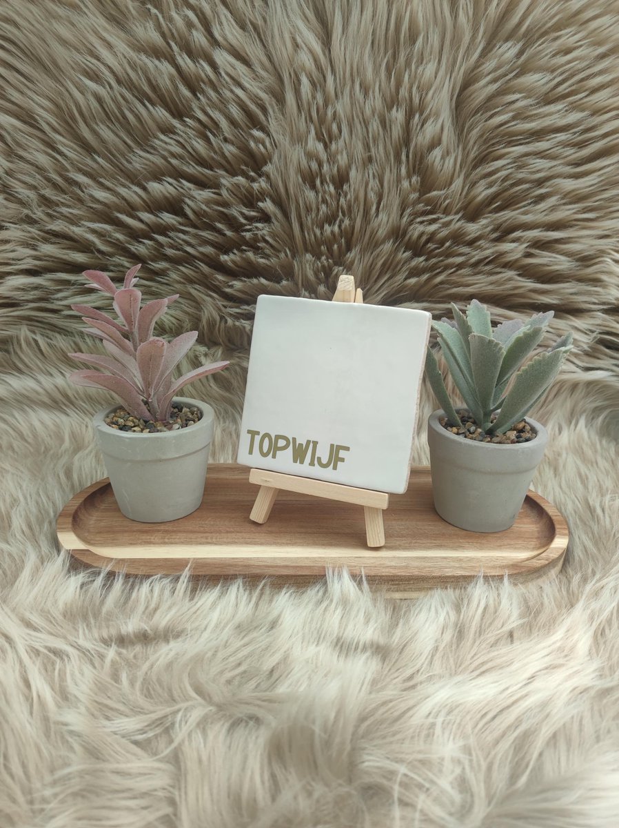 Robuust Wenstegeltje – Hip trendy tegeltje – Topwijf - geschenk - decoratie - design - cadeau - gift - verjaardag - zomaar - modern - decoratie voor woonkamer - spreuktegel - wenstegel - kado - persoonlijk - topper – Trendy nu