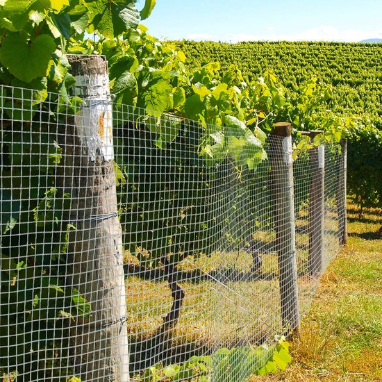 Grillage Métallique Galvanisé Mailles Fines 6,3x6,3 Mm - 50 Cm X 10 M Protection Lapins Taupes Jardinière