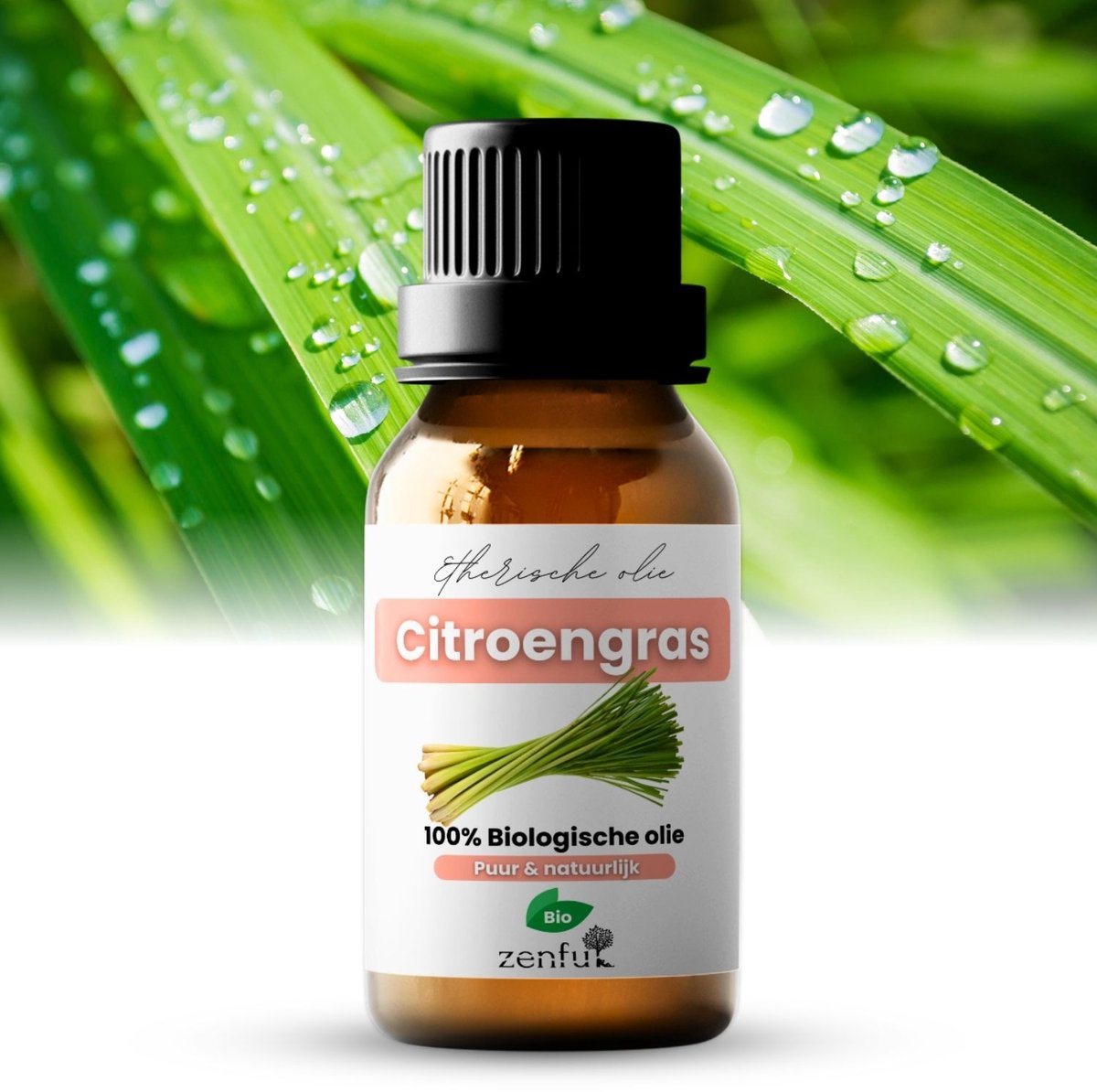 Citroengras olie - Lemongrass - 100% Puur - Biologisch - Natuurlijk - Oil - Etherische olie - 10 ml