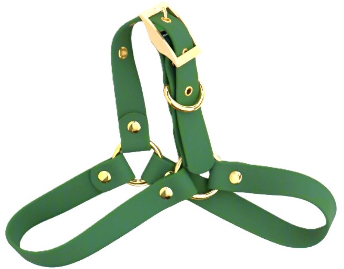 Cavlicious® hondentuigje - hondenharnas - instaptuigje - PVC - groen - M