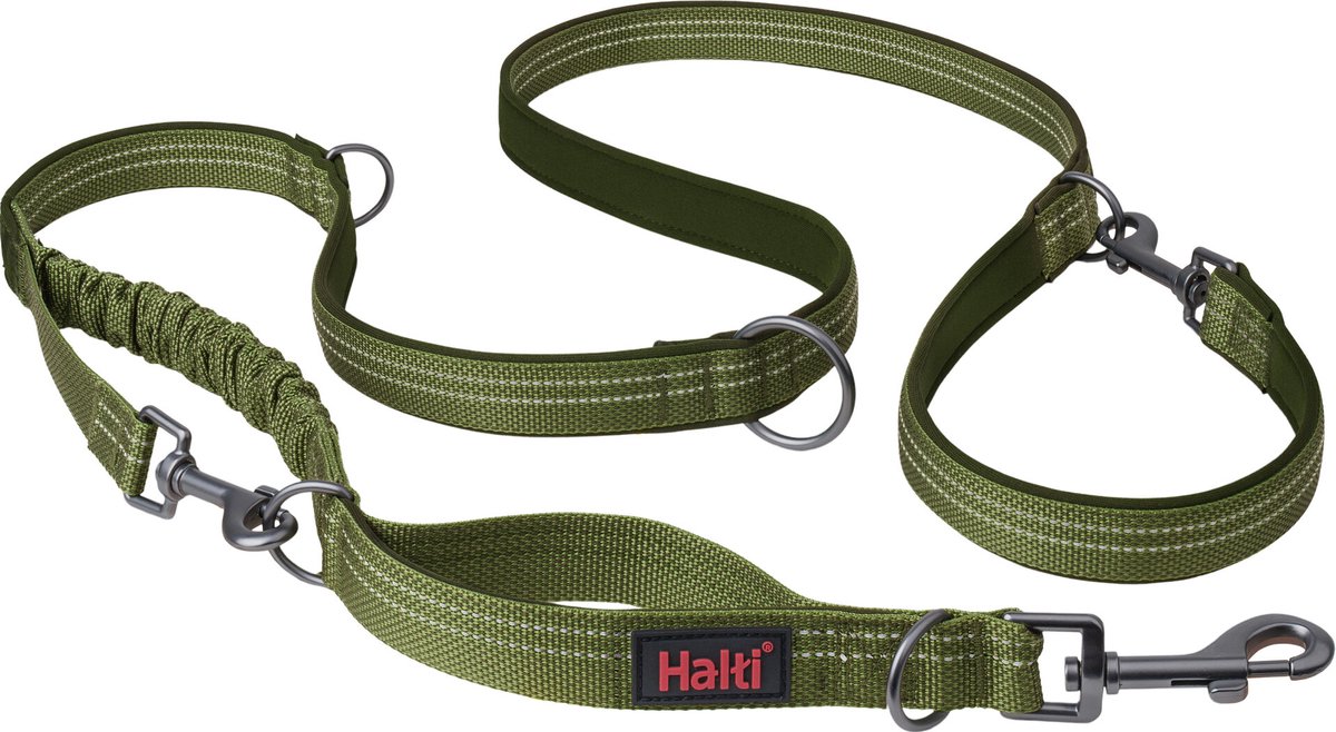 Company of animals multi lead anatomy halti green