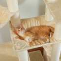 Een oranje gestreepte kat ligt ontspannen in een beige hangmat op een krabpaal.