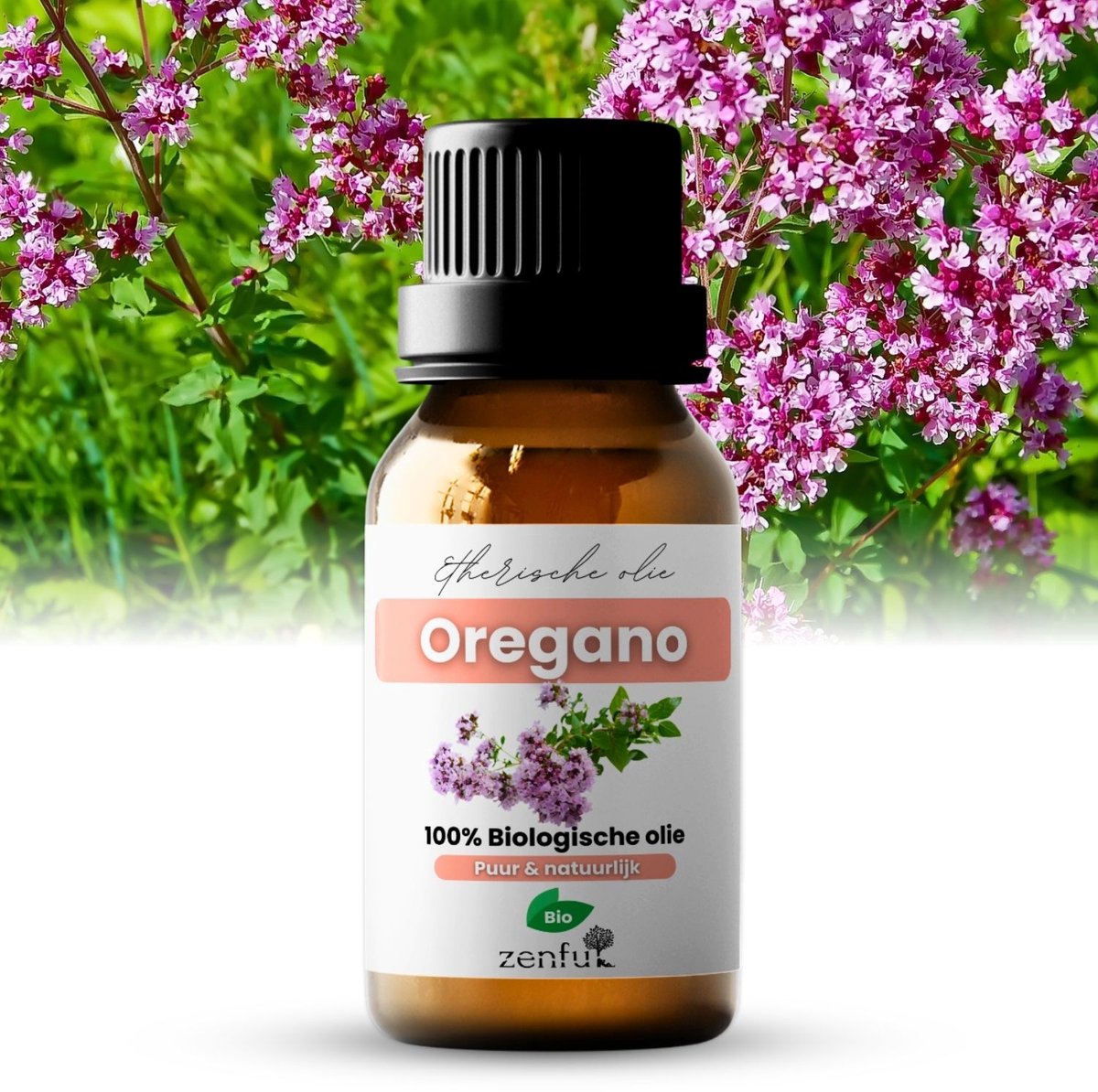 Goedkoopste Oregano olie - Origanum vulgare - 100 puur & biologisch - 5ml