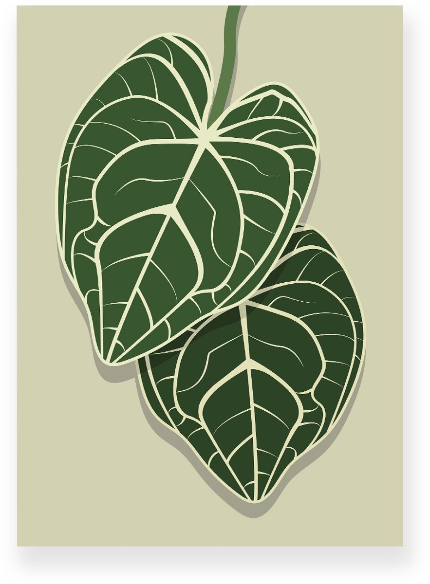 Yisual Poster 30x40 cm - Anthurium Bladeren - Planten - Groen - Beige - Botanisch - Minimalistisch - Muurdecoratie - Wanddecoratie