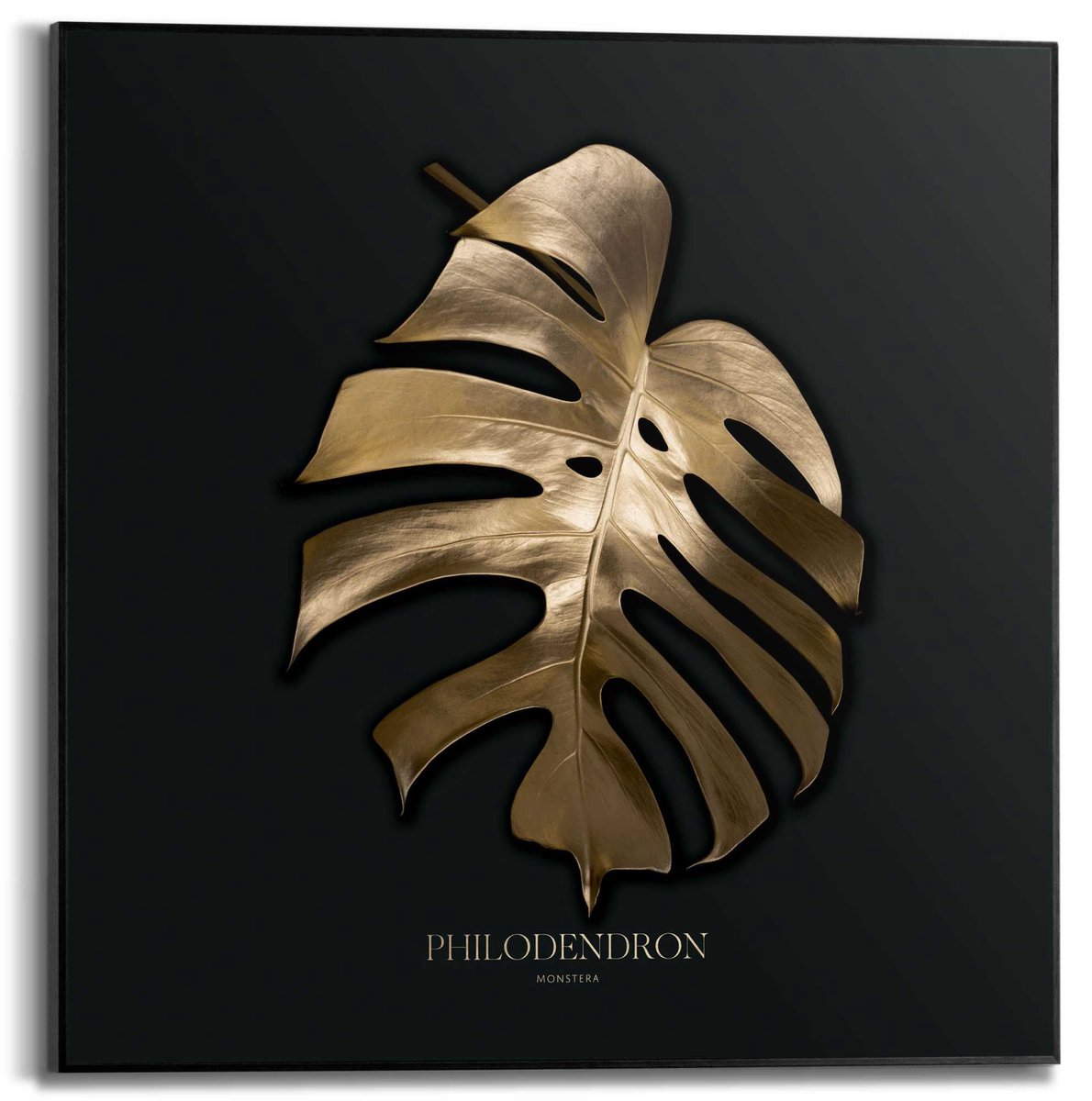 REINDERS Schilderij Monstera Blad - 50 x 50 - Hout - REINDERS Monstera Blad Zwart