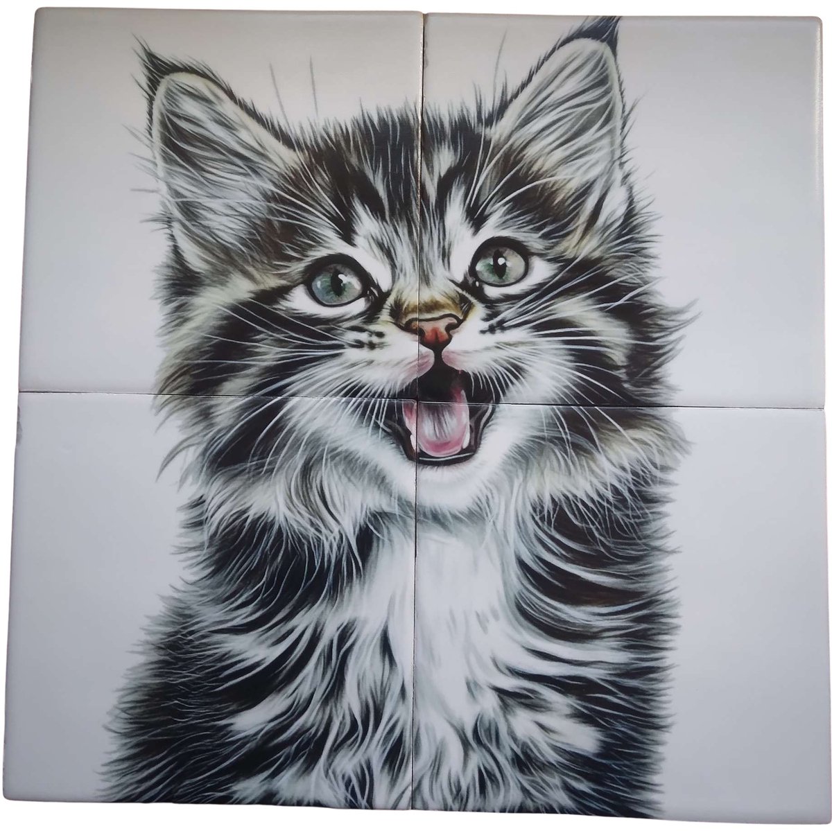 MadDeco Nederlands fabrikaat Maincoon kitten op plateau van 4 tegels Friese Witjes 13 x 13 cm per tegel