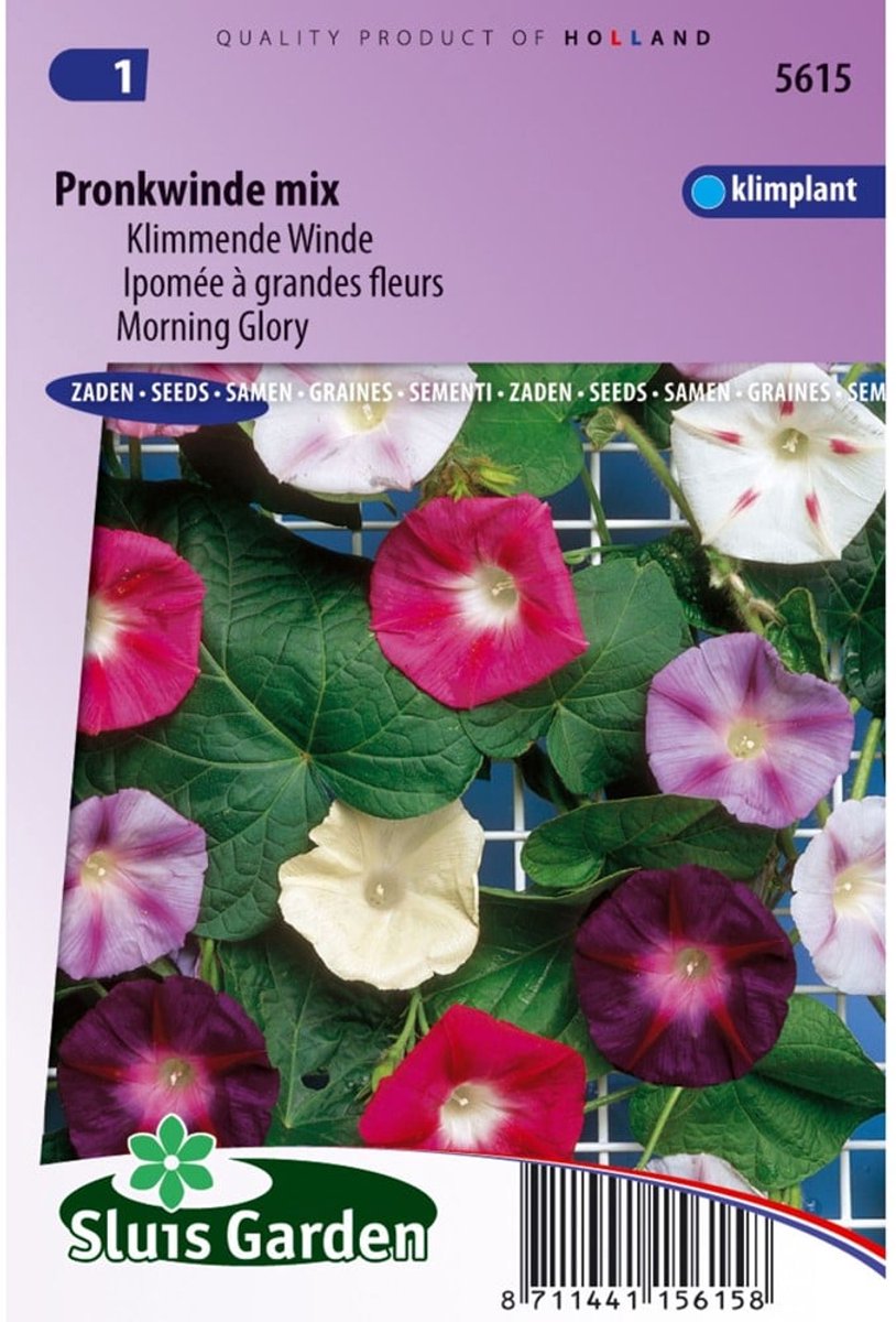 Sluis Garden - Klimmende Winde Choice Mixed (Ipomoea)