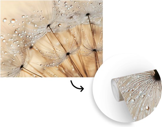 Behang - Fotobehang Paardenbloem - Abstract - Natuur - Beige - Breedte 400 cm x hoogte 300 cm