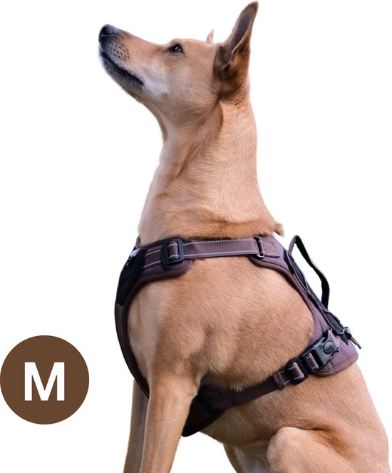 Bandoga hondentuigje - Reflecterend anti-trek harnas - Y Tuig Bruin - Maat M - Comfortabel uitlaten
