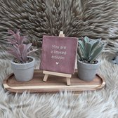 Tuile de souhait robuste avec texte - Vieux rose - beige - Tu es une édition limitée - amour - amitié - Famille - cadeau - anniversaire - juste comme ça - cadeau personnalisé - tuile tendance branchée - décoration - sympa
