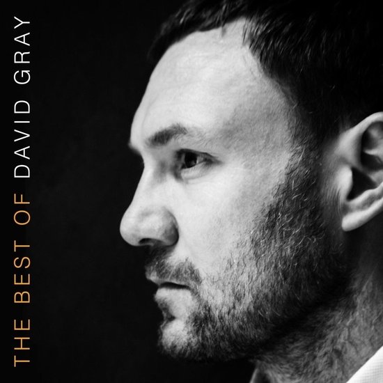 David Gray - The Best Of (2 LP)
