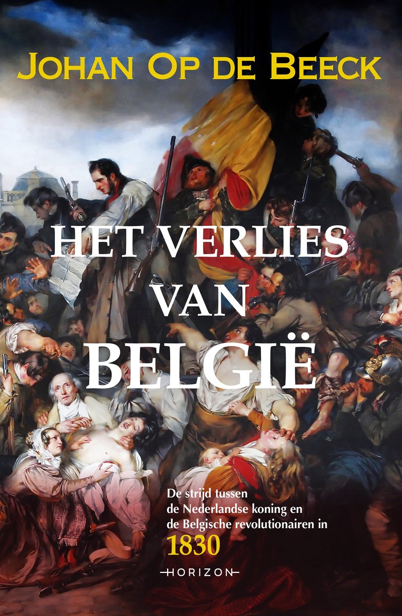 Omslag van Het verlies van België