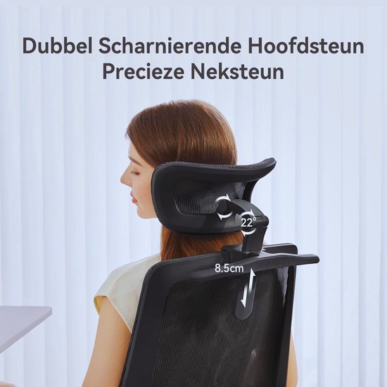 HOLLUDLE Ergonomische Bureaustoel – 3D Lendensteun, 3D Armleuningen En 2D Hoofdsteun, V-vormig Ontwerp, Ademend Net, 5 Jaar Garantie