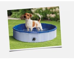 Ma piscine pour chiens