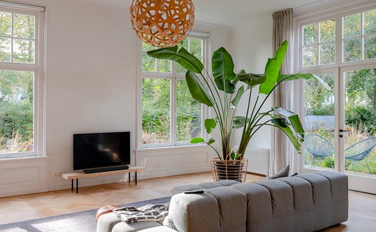 Zwarte Harman Kardon soundbar op een lage tv-standaard, in een woonkamer met een grote plant en grijze bank.
