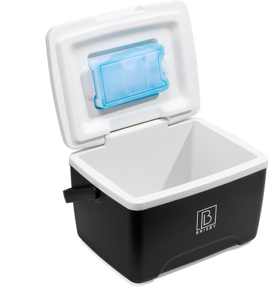 Brisby Kleine Koelbox 8 Liter – Zwart – Tot 40 uur isolatie – 2 koelelementen vergrendeld in deksel – Compact voor lunch en onderweg – Frigobox van Brisby — afbeelding 2