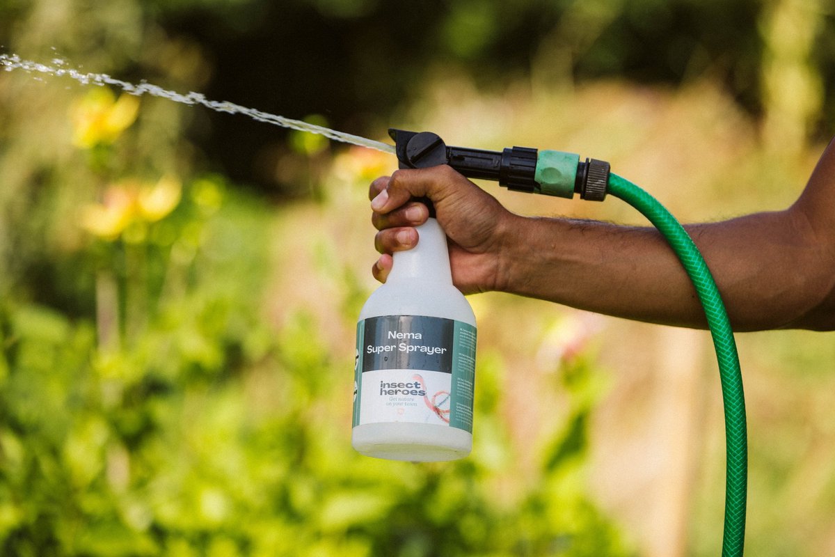 Nema Super Sprayer | Nematodenspray | Aaltjes | Aaltjes sproeier | 100% natuurlijke bestrijding Insect Heroes| Emelten | Slakken | Taxuskever | Engerlingen