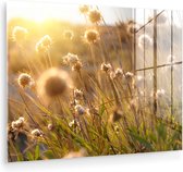 MuchoWow® Peinture sur verre 160x120 cm - Peinture sur verre acrylique - Plantes - Nature - Fleurs - Soleil - Horizon - Photo sur verre - Peintures