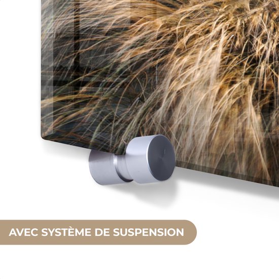 Peintures sur verre - Plage - Mer - Scheveningen - Nederland - 120x80 cm - Peintures Plexiglas