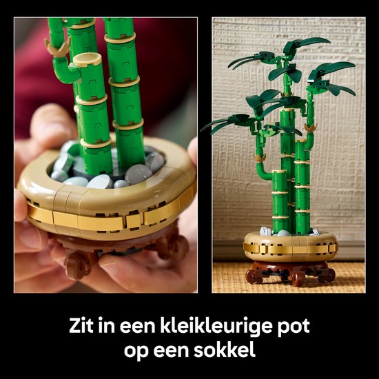 Gros plan sur le pot et la plante de bambou LEGO, avec des pierres.