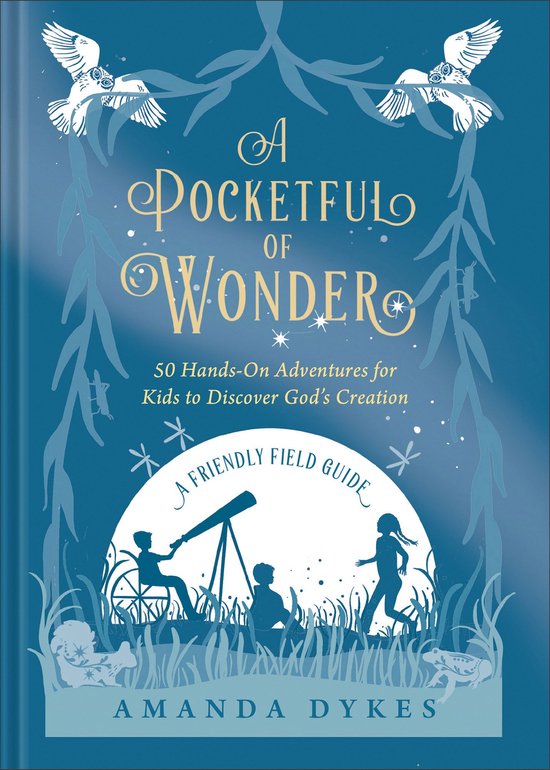A Pocketful of Wonder - cover