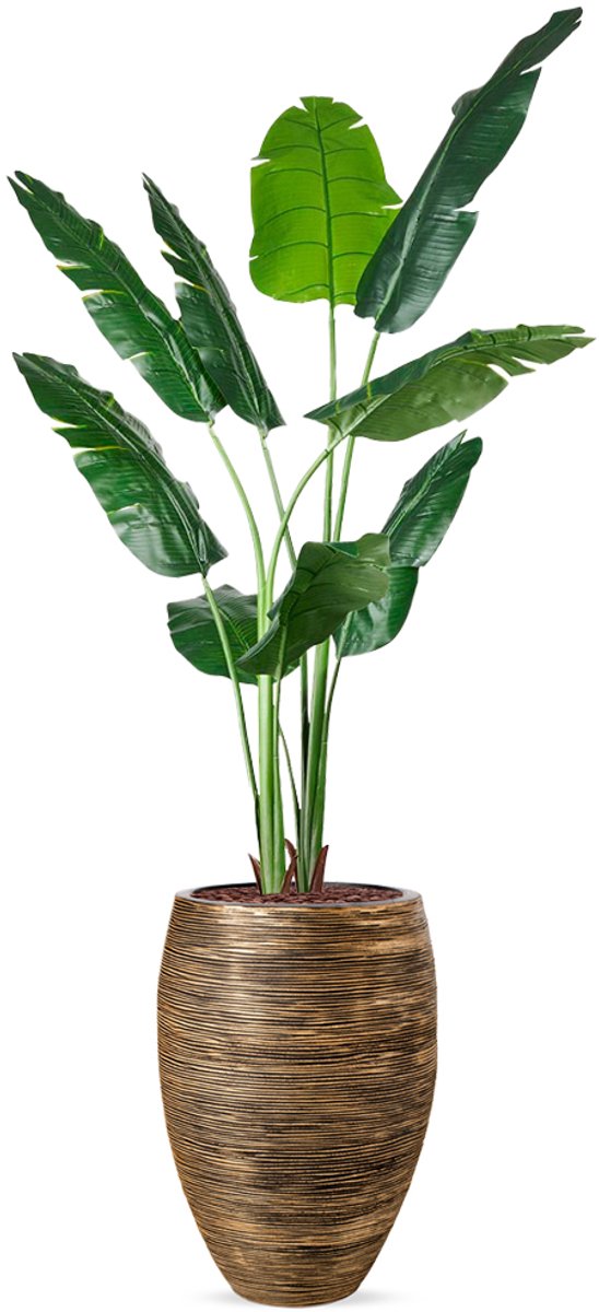Kunstplant Strelitzia in Vaas elegant Rib zwartgoud H210 cm