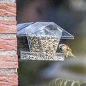 Huismus zit op een transparant raamvoederhuisje gevuld met vogelvoer.