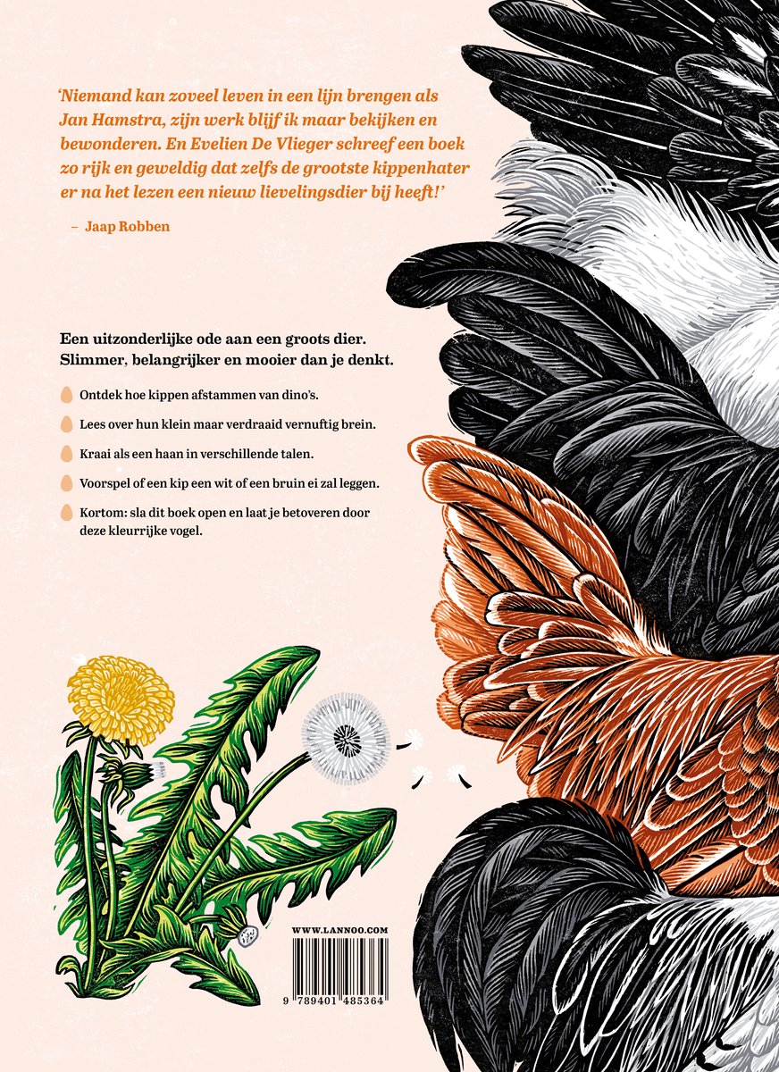 Achterkant van een boek met close-ups van gekleurde veren, tekst en paardenbloemen.