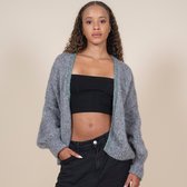 Breipakket, Maxi Cardigan-Dames trui- Les Cousines- Alpaca+wol+katoen