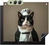 Chat - Cuisinier, Brun